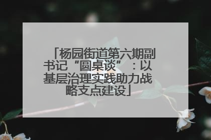 杨园街道第六期副书记“圆桌谈”：以基层治理实践助力战略支点建设