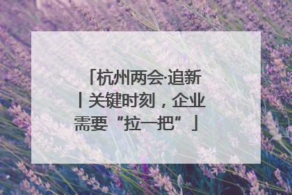 杭州两会·追新丨关键时刻，企业需要“拉一把”