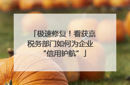 极速修复！看获嘉税务部门如何为企业“信用护航”