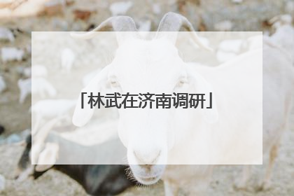 林武在济南调研