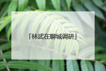 林武在聊城调研