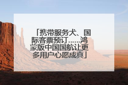 携带服务犬、国际客票预订……鸿蒙版中国国航让更多用户心愿成真