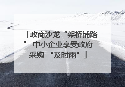 政商沙龙“架桥铺路” 中小企业享受政府采购 “及时雨”