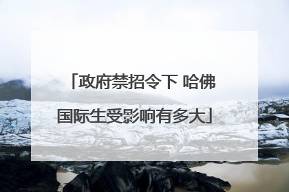 政府禁招令下 哈佛国际生受影响有多大