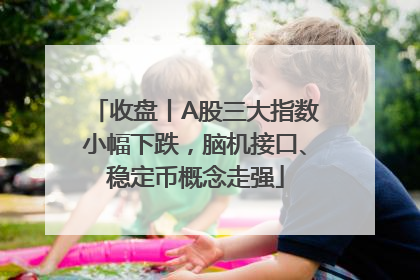收盘丨A股三大指数小幅下跌，脑机接口、稳定币概念走强