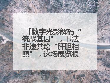 数字光影解码“统战基因”，书法非遗共绘“肝胆相照”，这场展览很有创意！