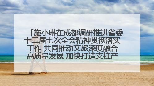 施小琳在成都调研推进省委十二届七次全会精神贯彻落实工作 共同推动文旅深度融合高质量发展 加快打造支柱产业民生产业幸福产业