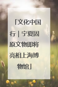 文化中国行｜宁夏固原文物即将亮相上海博物馆
