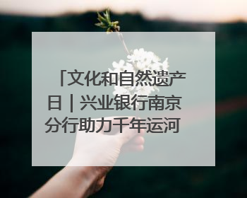 文化和自然遗产日｜兴业银行南京分行助力千年运河焕新出彩