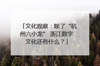 文化观察：除了“杭州六小龙” 浙江数字文化还有什么？