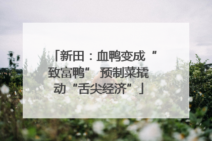 新田：血鸭变成“致富鸭” 预制菜撬动“舌尖经济”