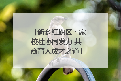 新乡红旗区：家校社协同发力 共商育人成才之道