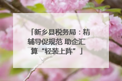 新乡县税务局：精辅导促规范 助企汇算“轻装上阵”