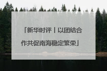 新华时评丨以团结合作共促南海稳定繁荣