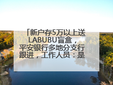 新户存5万以上送LABUBU盲盒，平安银行多地分支行跟进，工作人员：是行里统一的，进货渠道不清楚
