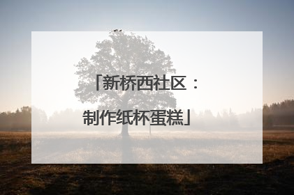 新桥西社区：制作纸杯蛋糕