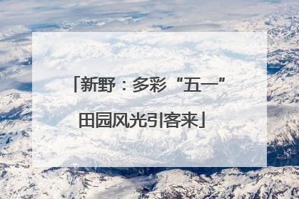 新野：多彩“五一” 田园风光引客来