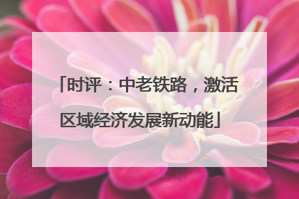 时评：中老铁路，激活区域经济发展新动能