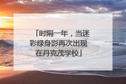 时隔一年，当迷彩绿身影再次出现在丹克茂学校