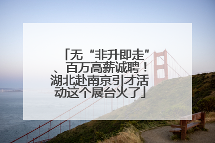 无“非升即走”、百万高薪诚聘！湖北赴南京引才活动这个展台火了
