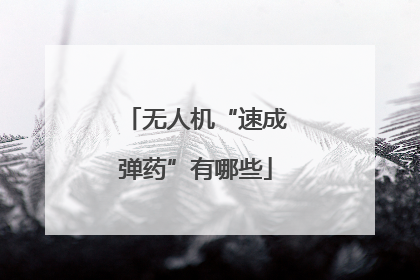 无人机“速成弹药”有哪些