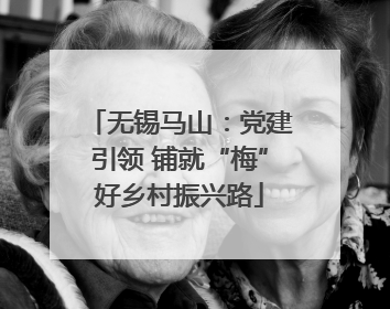 无锡马山：党建引领 铺就“梅”好乡村振兴路