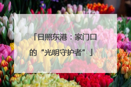 日照东港：家门口的“光明守护者”