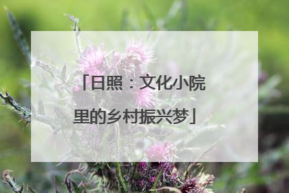 日照：文化小院里的乡村振兴梦