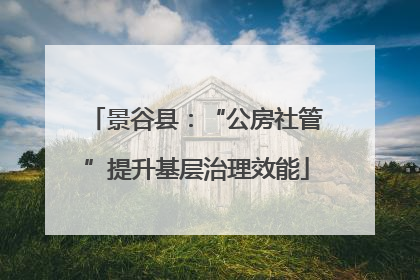 景谷县：“公房社管”提升基层治理效能