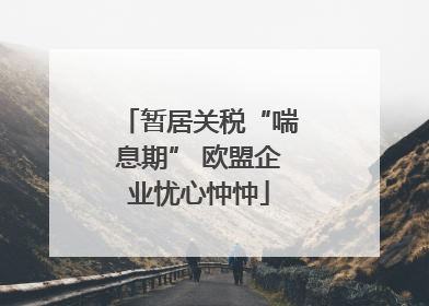 暂居关税“喘息期” 欧盟企业忧心忡忡