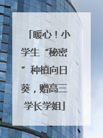 暖心！小学生“秘密”种植向日葵，赠高三学长学姐