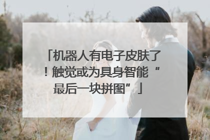 机器人有电子皮肤了！触觉或为具身智能“最后一块拼图”