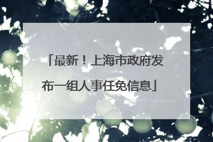 最新！上海市政府发布一组人事任免信息