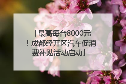 最高每台8000元！成都经开区汽车促消费补贴活动启动