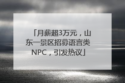 月薪超3万元，山东一景区招募语言类NPC，引发热议