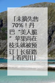 未摘先售70%！丹巴“美人脆”苹果尚在枝头就被预订｜长征路上看四川