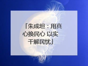 朱成坦：用真心换民心 以实干解民忧