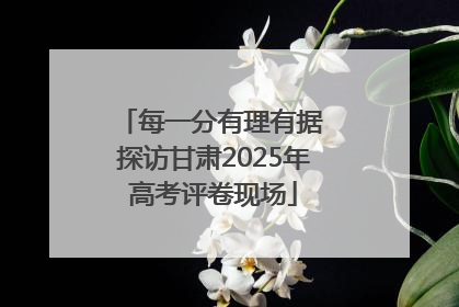 每一分有理有据 探访甘肃2025年高考评卷现场