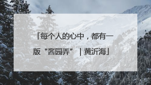 每个人的心中，都有一版“酱园弄”｜黄沂海
