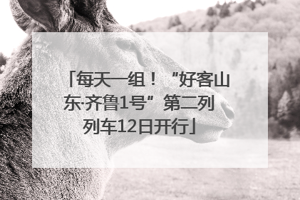 每天一组！“好客山东·齐鲁1号”第二列列车12日开行