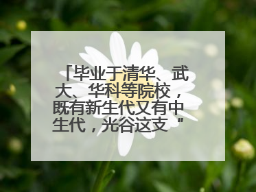 毕业于清华、武大、华科等院校，既有新生代又有中生代，光谷这支“理工男团”为何“出道”？