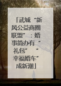 武城“新风公益商圈联盟”：婚事简办有“礼包” “幸福婚车”成新潮