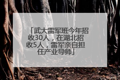 武大雷军班今年招收30人，在湖北招收5人，雷军亲自担任产业导师