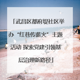 武昌区都府堤社区举办“红巷传薪火”主题活动 探索党建引领基层治理新路径