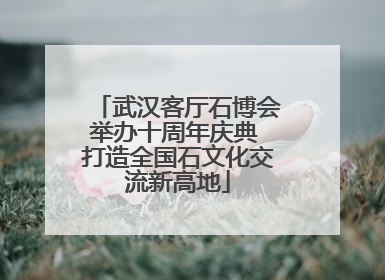 武汉客厅石博会举办十周年庆典 打造全国石文化交流新高地