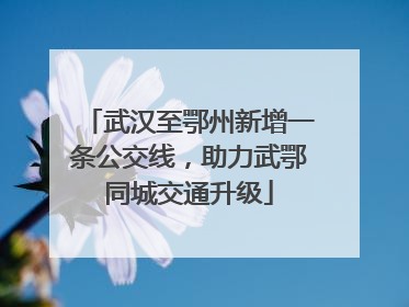 武汉至鄂州新增一条公交线，助力武鄂同城交通升级