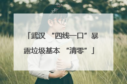 武汉 “四线一口”暴露垃圾基本 “清零”