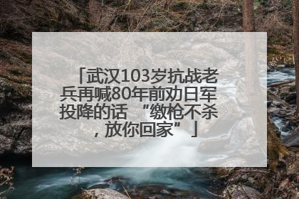 武汉103岁抗战老兵再喊80年前劝日军投降的话 “缴枪不杀，放你回家”