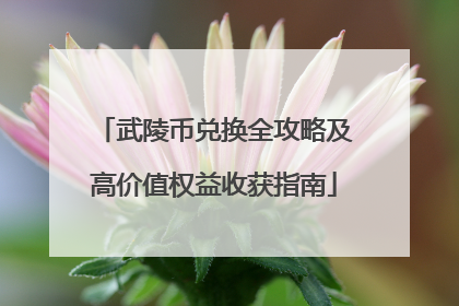 武陵币兑换全攻略及高价值权益收获指南