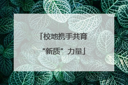 校地携手共育“新质”力量